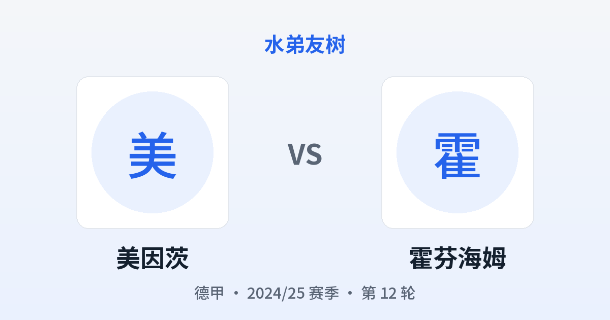 美因茨 vs 霍芬海姆 对阵分享图