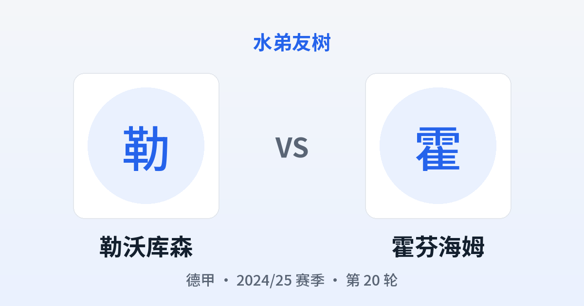 勒沃库森 vs 霍芬海姆 对阵分享图