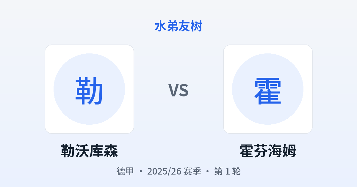 勒沃库森 vs 霍芬海姆 对阵分享图