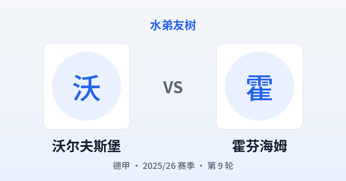 沃尔夫斯堡 vs 霍芬海姆 对阵分享图