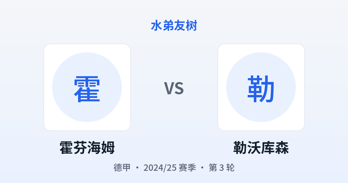 霍芬海姆 vs 勒沃库森 对阵分享图
